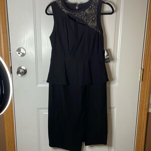 NWT Thalia Sodi fully lined sleeveless rayon/nylon/spandex dress, Size 8